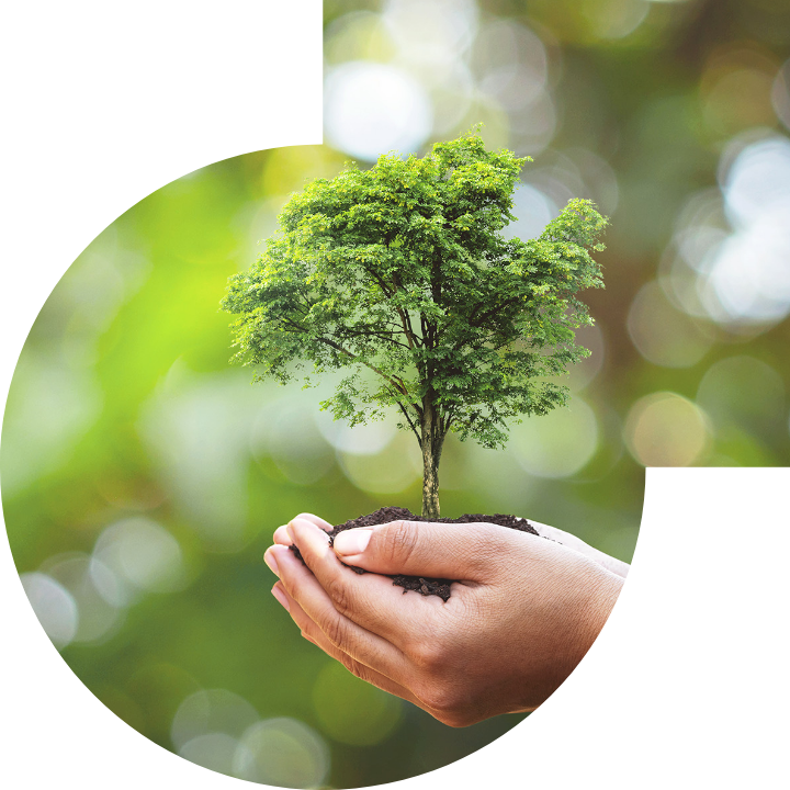 关怀人类、文化、环境与社会