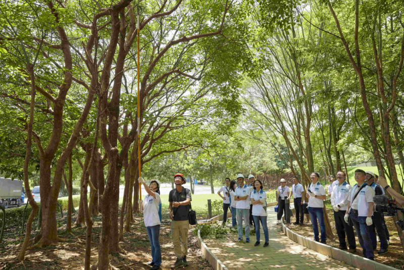藝師教導大家認識樹木、檢查樹的健康狀況，學習修枝及碎枝覆土
